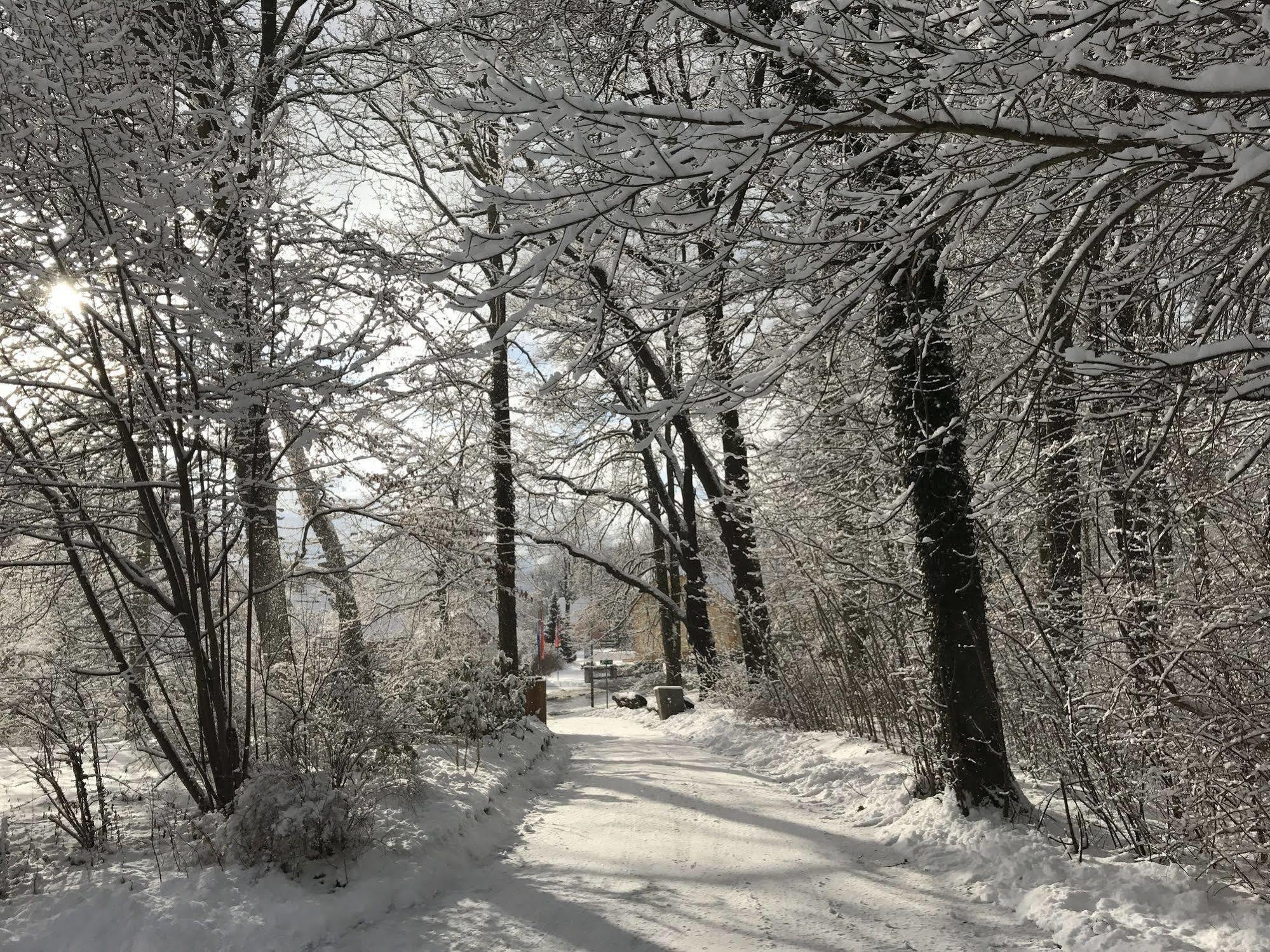 Turmvilla Bad Muskau Kültér fotó